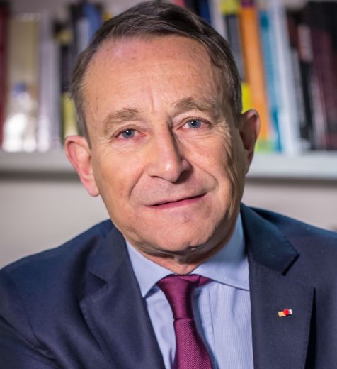 Pierre de Villiers - Politique et société