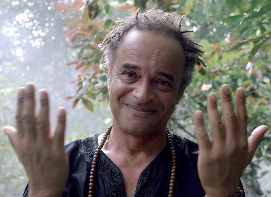 Yannick Noah conférencier & chanteur / Intégrateur