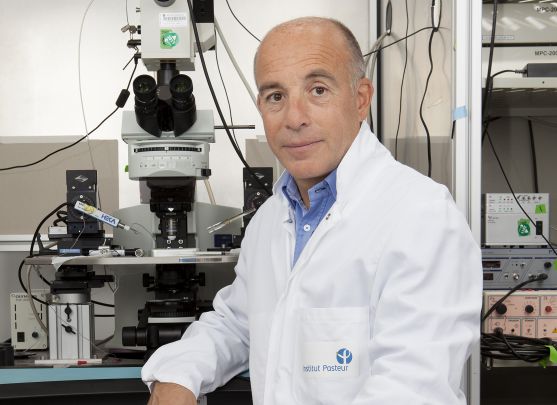 Pierre-Marie Lledo conférencier / Groupe bancaire